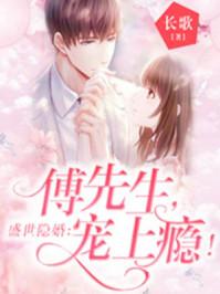 盛世隐婚傅先生宠上瘾免费阅读