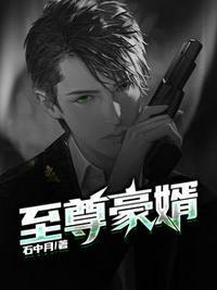 至尊神婿叶昊郑漫儿八零