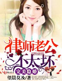 律师的隐婚妻