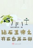 钻石王牌有几季