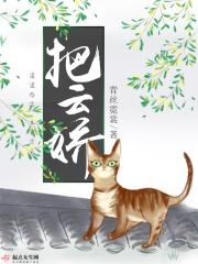 把云娇人物关系图