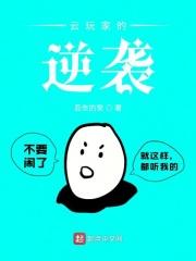 云玩家全称