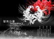 画墨龙九天
