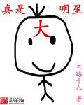 我真是大明星s版