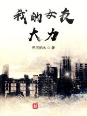 我的女友是诸葛大力!