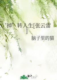 张云雷2021年转场
