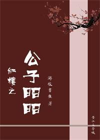 红楼之公子琏