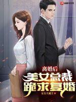 女总裁第一章离婚