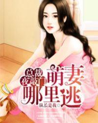 萌妻哪里逃孟沛远免费