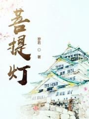 菩提灯家用批发