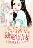 闪婚蜜爱总裁独宠小萌妻