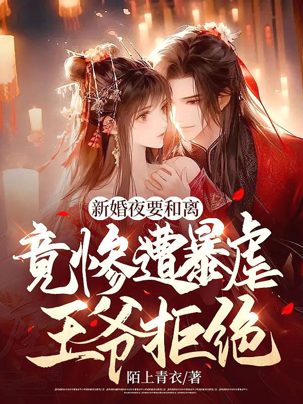 新婚之夜帮残废王爷做手术