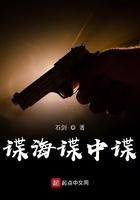 电视剧谍海什么