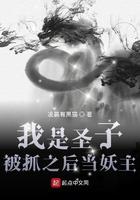 重生我是圣子