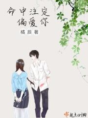 命中注定我爱你下一句是什么