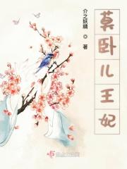 莫卧儿王朝版图