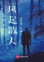全职高手之风自南来