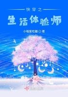 体验人生快穿