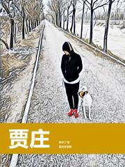 贾庄到石家庄公交车520的发车时间