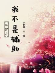 斗罗之我不是辅助神