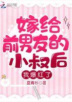 嫁给前任的小叔