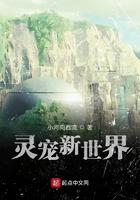 灵宠幻世