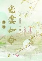 丞相宠妻日常圆房