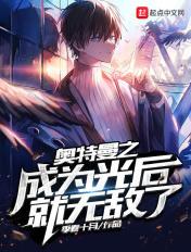 奥特曼之光影旅行者评论