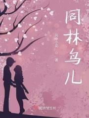 电影同林鸟剧情