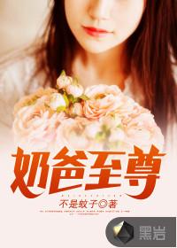 奶爸至尊 不是蚊子
