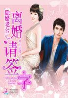 隐婚老公请接招正文全文免费阅读