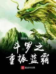 斗罗之重生蓝电