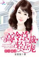 惹火新妻 总裁大人请放过