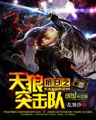 抗战之天狼纵横